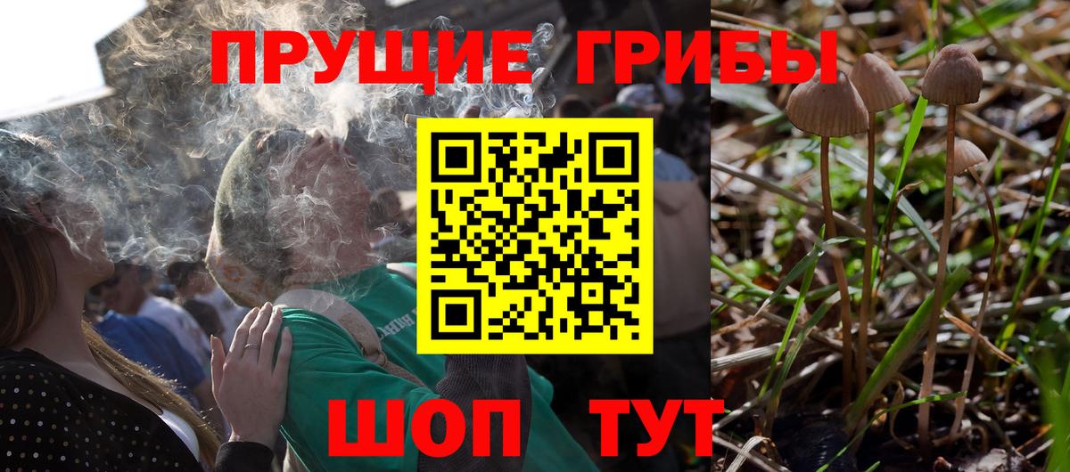 Псилоцибиновые грибы ЛСД Добрянка