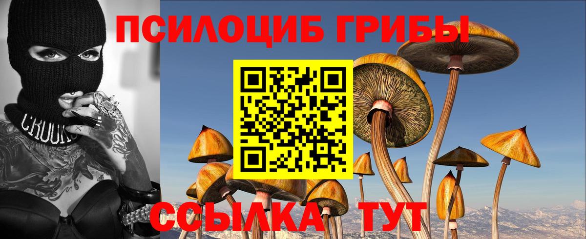 Псилоцибиновые грибы Cubensis  Вход с VPN  Добрянка 